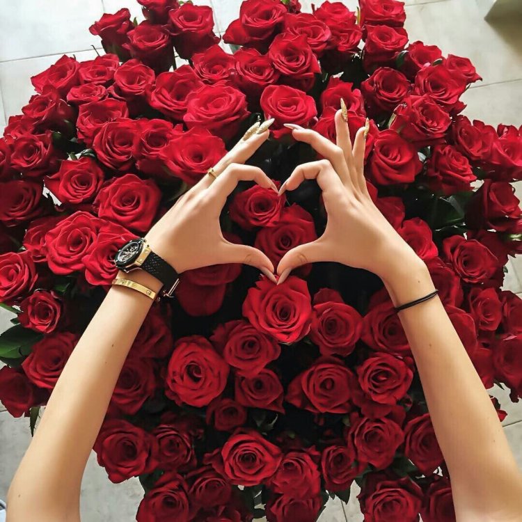 Букет роз в руках у девушки