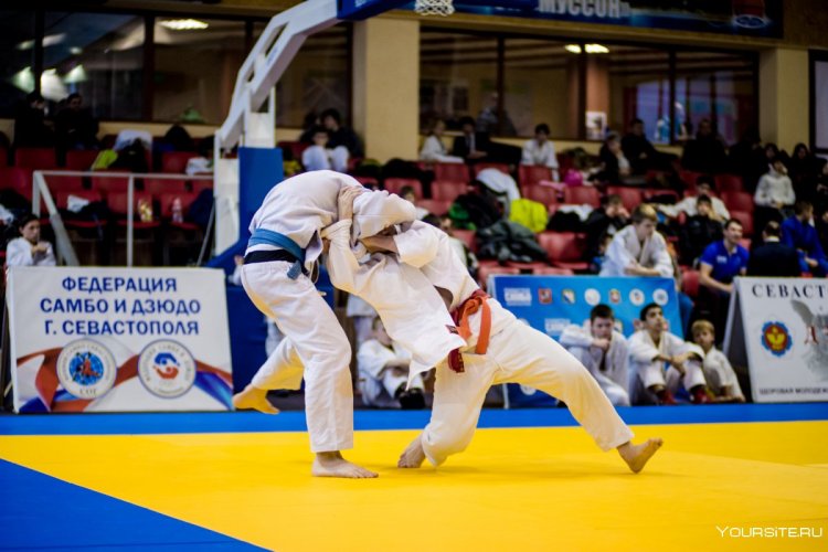 Анашкин Михаил Михайлович дзюдо