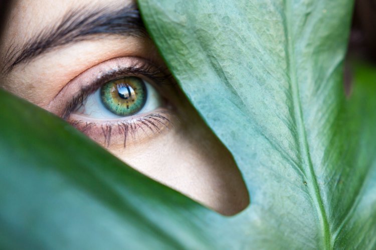 Красивые глаза