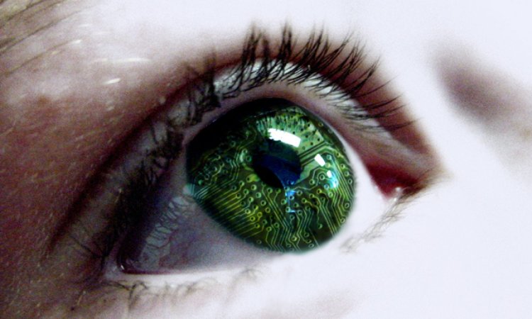 Глаза цвета леса