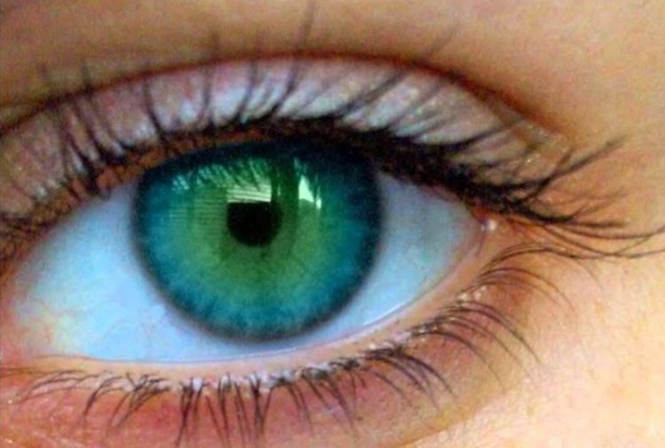 Зелёно-голубые глаза