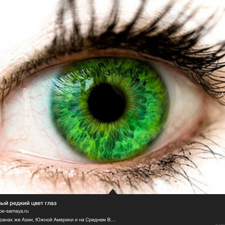 Ярко Изумрудные глаза