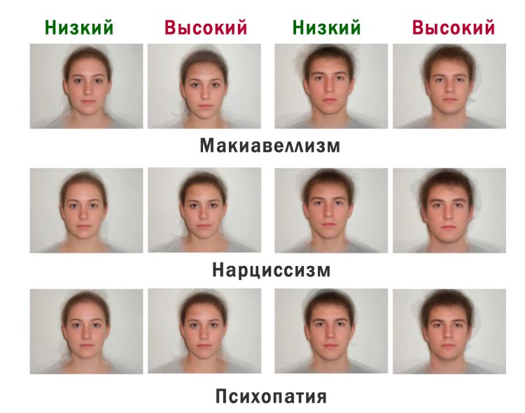 Отличительные черты внешности