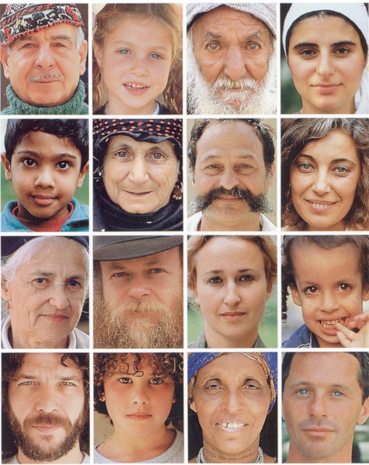 Жидовский нос