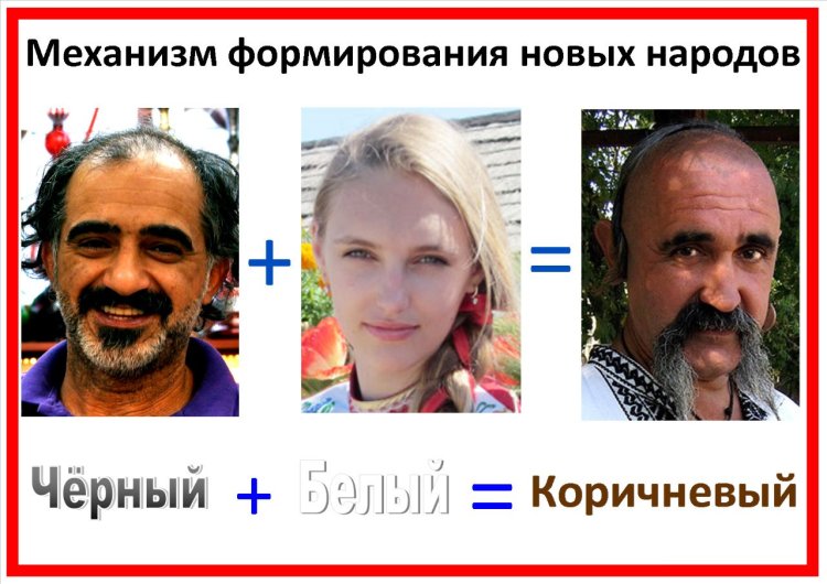 Расовая чистота