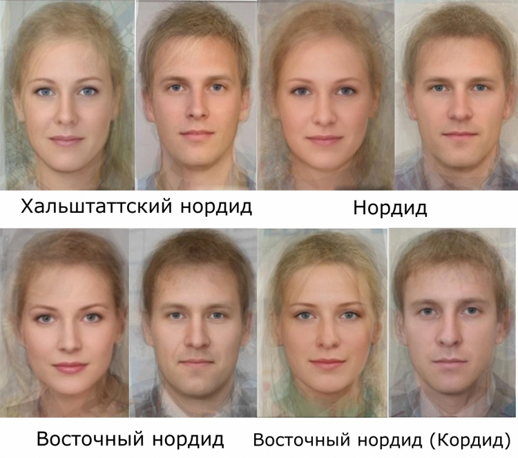 Западный балтид фенотип