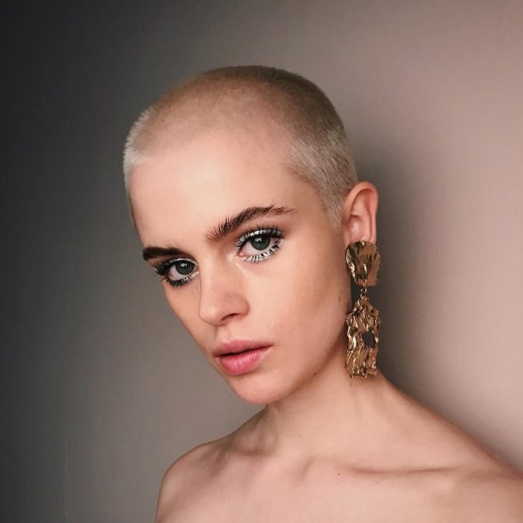 Cajsa Weissberg модель