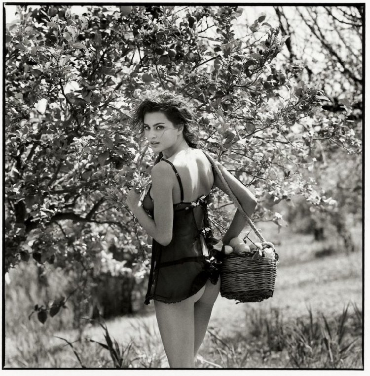 Мишель Перез Сицилийское приключение