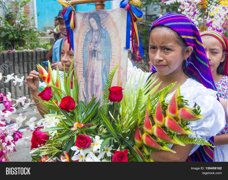 Фестиваль цветов