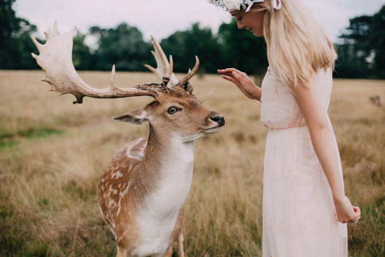 Девушка олень