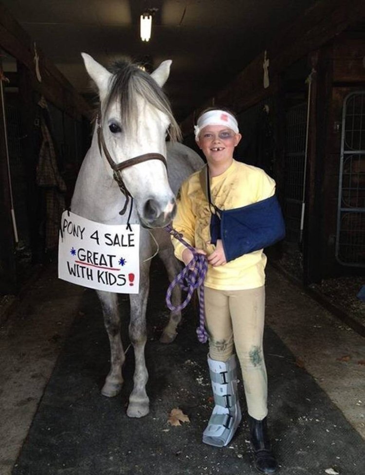 Пони лошадка прикольная