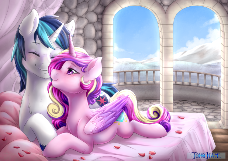 Shining Armor и принцесса Каданс