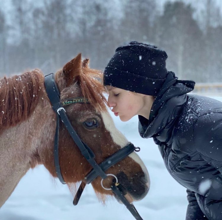 Фотосессии с лошадьми