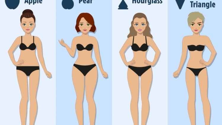 95 55 85 Формы тела