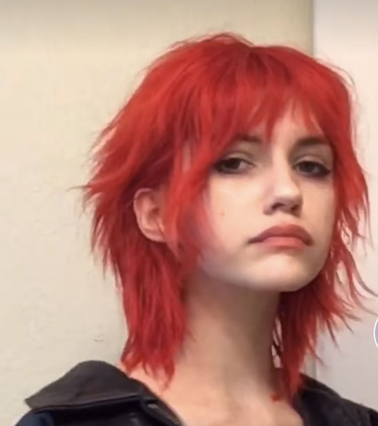 Маллет стрижка 2021