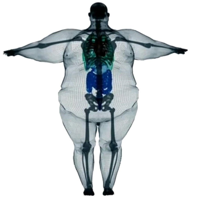 Михаил Фрайман