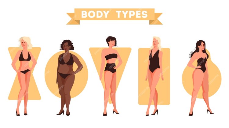 Женская фигура разные вектор