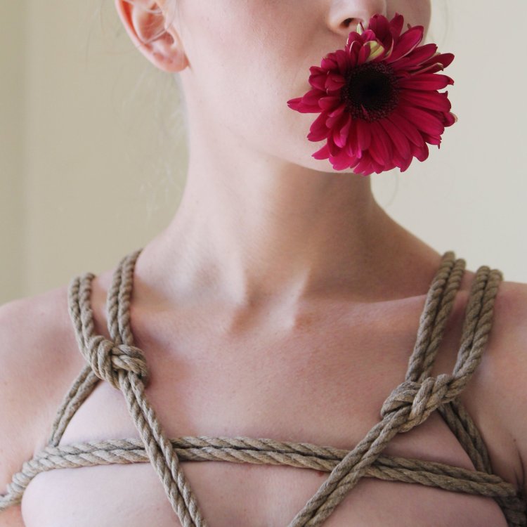 Искусство связывания