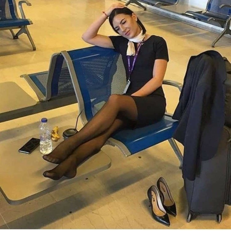 Ноги стюардесс