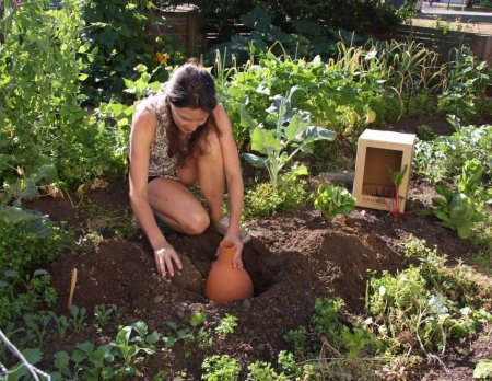 Баба на грядке