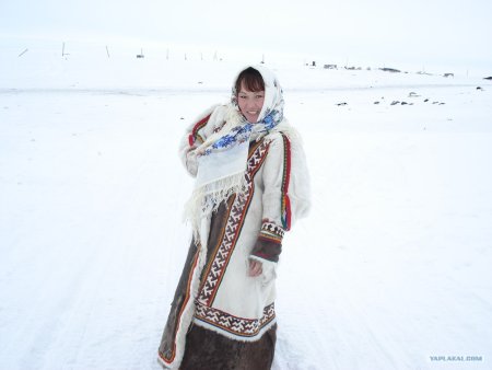 Ненцы Ханты манси чукчи