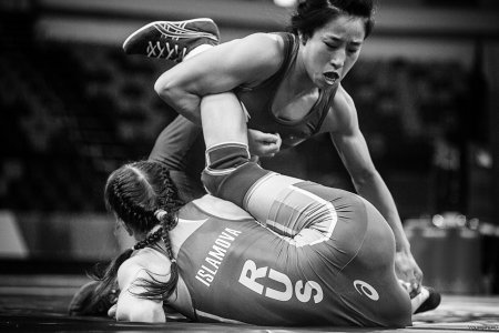 Мишель борба