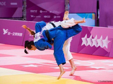 Дзюдо красивые броски