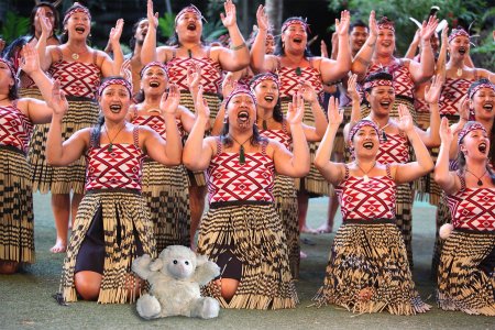 Майори племя