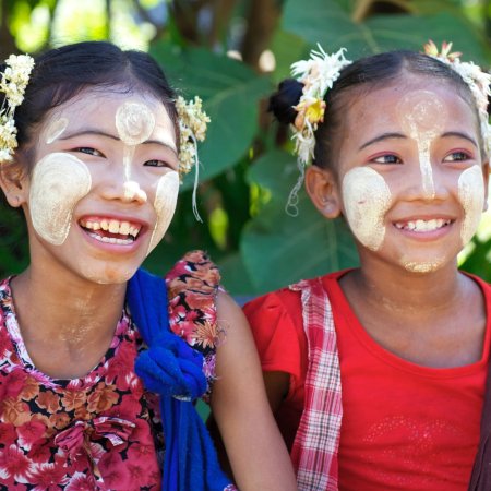 Бирманцы внешность