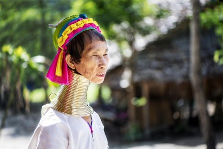 Длинные шеи в Африке