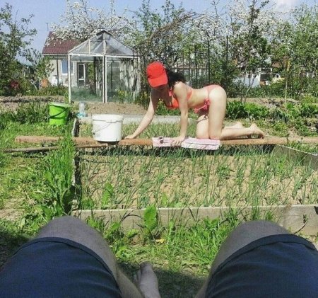 Девушка на даче летом