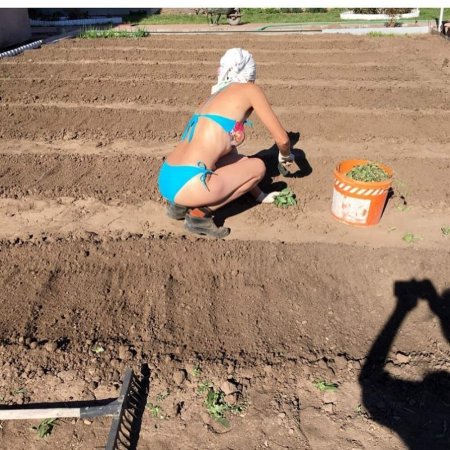 Девушки на грядках в купальнике