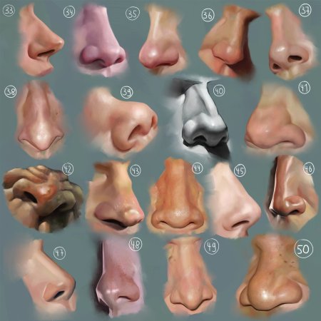 Типы Носов курносый