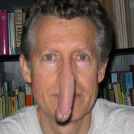 Огромный нос