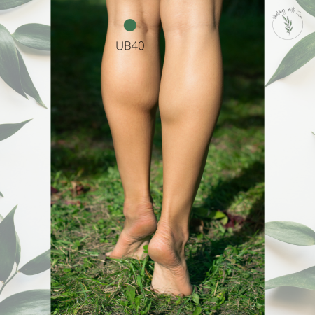 Женские ноги