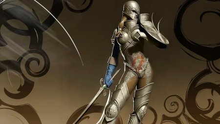 Воительница рыцарь