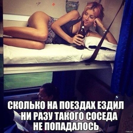 Красивые попутчицы