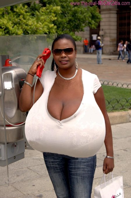 Миосотис кларибель Соло