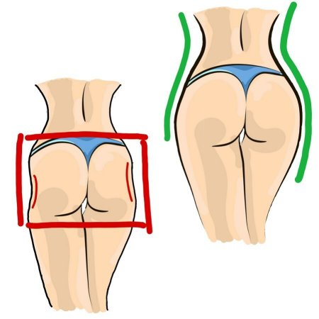 Формы женских ягодиц