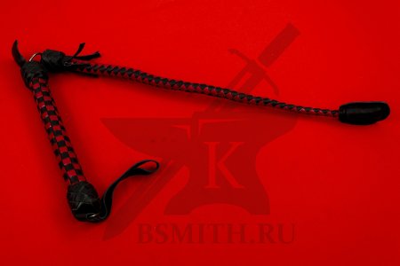 Фанатик с плетью