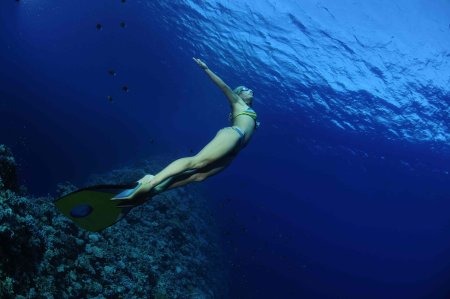 Сара Кэмпбелл фридайвинг