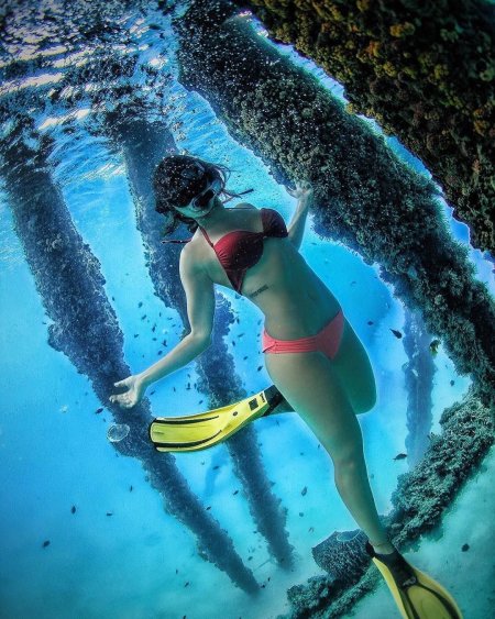 София Рокс ныряльщица