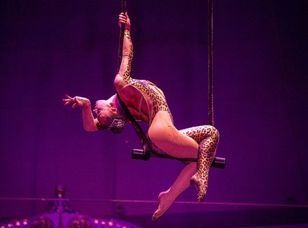 Красивые девушки в цирке