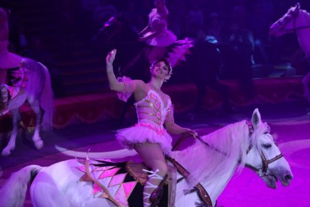 Цирк Анастасия г Москва