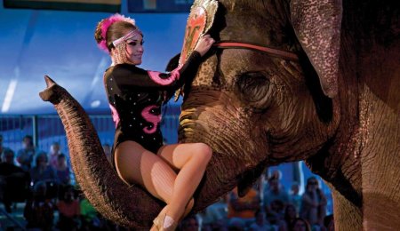 Дрессировщица Циркус