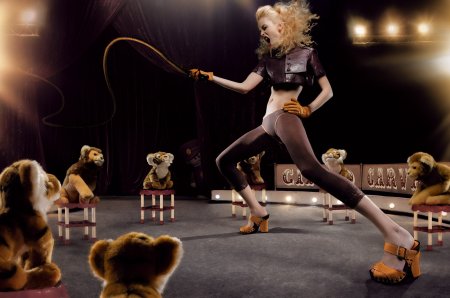 Цирковые собаки