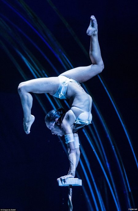 Эквилибр каучук