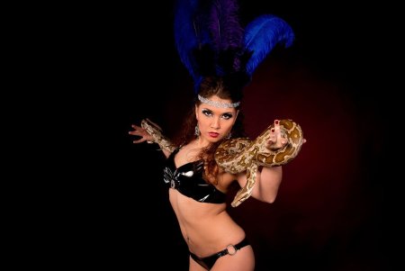 Красивые артистки цирка