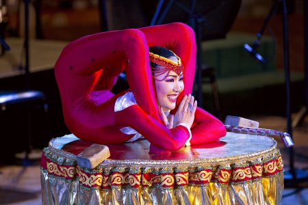 Цирковой каучук