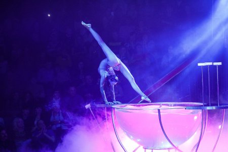 Красивые девушки в цирке